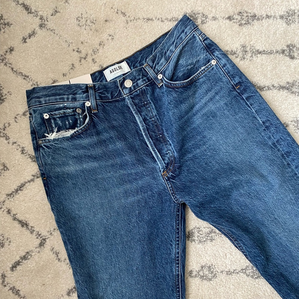 Agolde Riley High Rise Straight Crop Disguise | 29